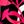 Tea Rose Graphic