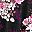 Pink Romantic Rose