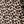 Oatmeal Animal Print