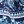 Navy Porcelain Border
