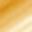 10k Gold