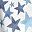 White Silver Stars