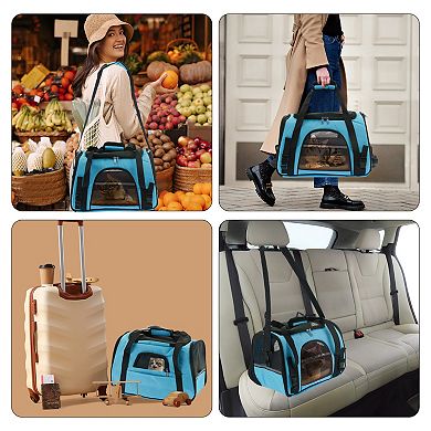 Pet Carrier Bag, Foldable Transport Box with Removable Plush Mat and Adjustable Shoulder Strap