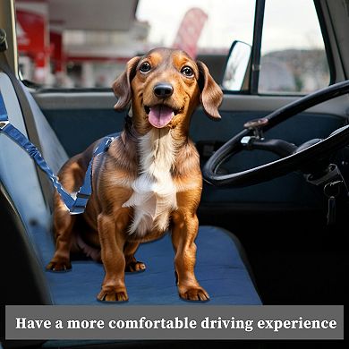 Double Dog Seat Belt, Nylon Pet Car Headrest Restraint Safety Seatbelt, No Tangle Dog Leash Blue
