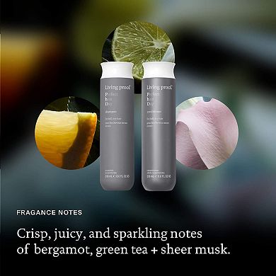 Perfect Hair Day Shampoo & Conditioner Hair Set