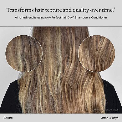 Perfect Hair Day Shampoo & Conditioner Hair Set