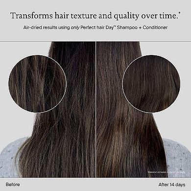 Perfect Hair Day Shampoo & Conditioner Hair Set