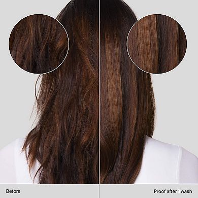 Perfect Hair Day Shampoo & Conditioner Hair Set