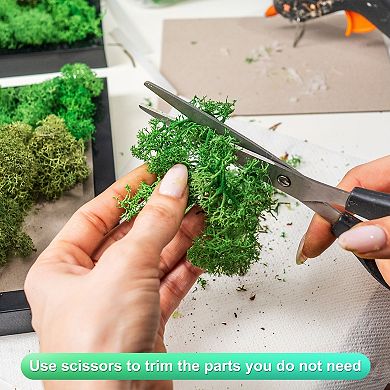 Preserved Reindeer Moss, 4 OZ Fake Moss for Crafts