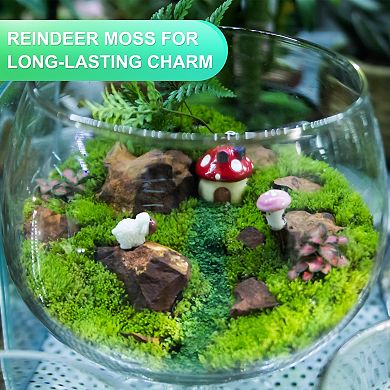 Preserved Reindeer Moss, 4 OZ Fake Moss for Crafts