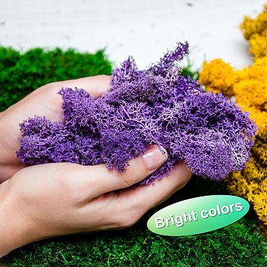 Preserved Reindeer Moss, 4 OZ Fake Moss for Crafts