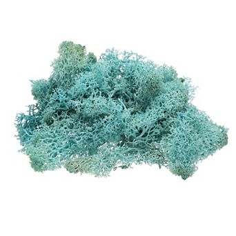 Preserved Reindeer Moss, 4 OZ Fake Moss for Crafts