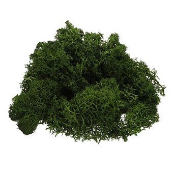 Preserved Reindeer Moss, 4 OZ Fake Moss for Crafts