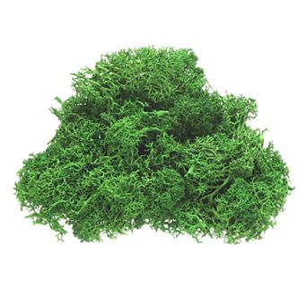 Preserved Reindeer Moss, 4 OZ Fake Moss for Crafts