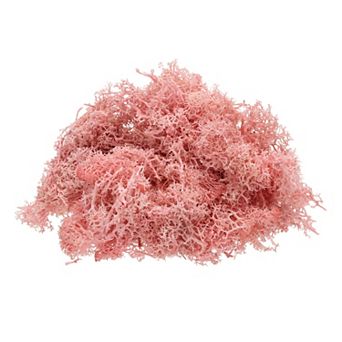 Preserved Reindeer Moss, 4 OZ Fake Moss for Crafts