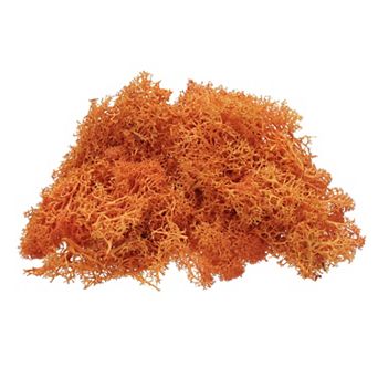 Preserved Reindeer Moss, 4 OZ Fake Moss for Crafts