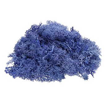Preserved Reindeer Moss, 4 OZ Fake Moss for Crafts