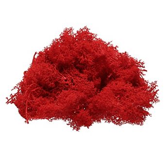 Preserved Reindeer Moss, 4 OZ Fake Moss for Crafts