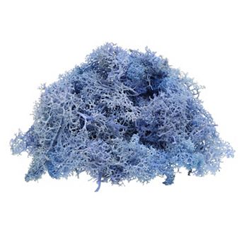 Preserved Reindeer Moss, 4 OZ Fake Moss for Crafts