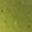 Fruit Green
