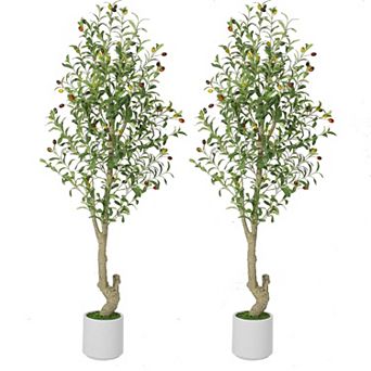 5ft（60 in Tall Faux Olive Tree with White Planter and Green Moss, 2 Pack