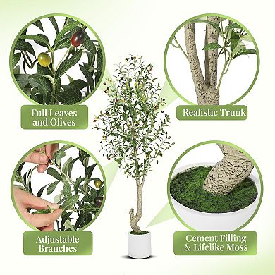 5ft（60in） Tall Faux Olive Tree with White Planter and Green Moss, 2 Pack