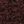 Deep Brown