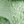 Light Green Blue