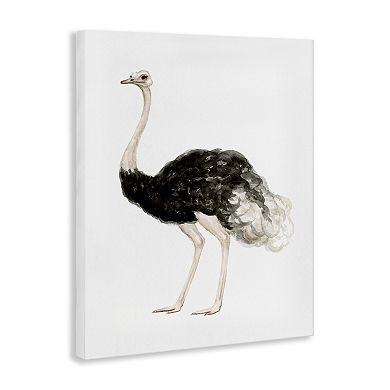 Stupell Home Decor Ostrich Bird Watercolor Portrait Wall Art