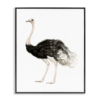 Stupell Home Decor Ostrich Bird Watercolor Portrait Framed Wall Art
