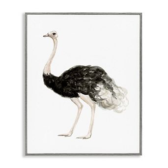 Stupell Home Decor Ostrich Bird Watercolor Portrait Framed Wall Art