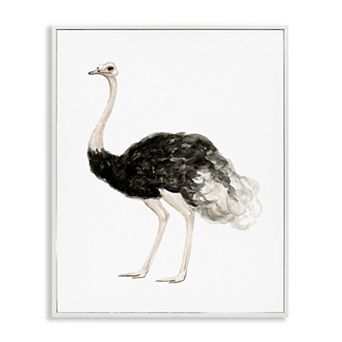 Stupell Home Decor Ostrich Bird Watercolor Portrait Framed Wall Art