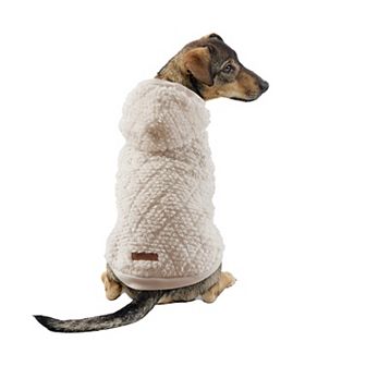 Friends Forever Soft Pet Hoodie