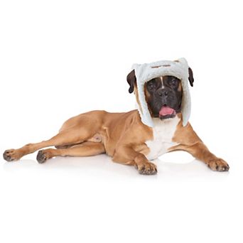 Friends Forever Faux Suede Pet Hat