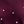 Plum Star