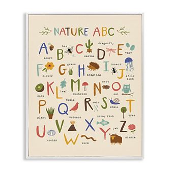 Stupell Home Decor Adorable Animal Illustrations ABC Framed Wall Art