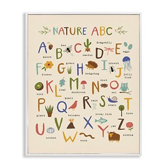 Stupell Home Decor Adorable Animal Illustrations ABC Framed Wall Art