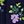 Navy Floral