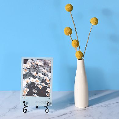 2Pcs 8 Inch Plate Stands for Display Iron Folding Easel Plate Holders