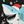 Christmas Shark