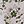 Green Floral