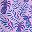 Light Lilac Heather