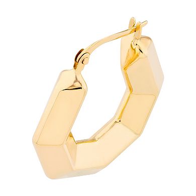 Color Romance 14k Gold 3D Hexagon Hoop Earrings