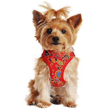 Doggie Design Wrap and Snap Choke Free Dog Harness
