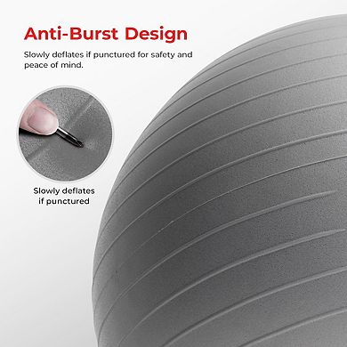Sunny Health & Fitness Premium Yoga Ball