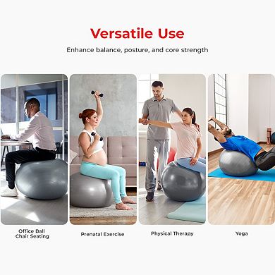 Sunny Health & Fitness Premium Yoga Ball