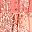 Coral Fantasy