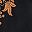 Black Paisley Border