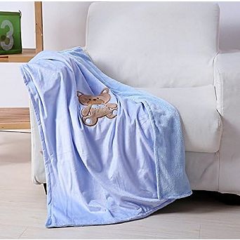 Ultra Soft Teddy Small Cute Blanket