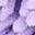 Pink Purple